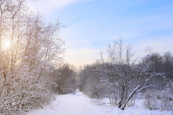 <strong>冬</strong>天景观全景雪太阳太阳开业后树自然雪谷<strong>冬</strong>天屏幕保护程序文章<strong>冬</strong>天旅<strong>游</strong>娱乐