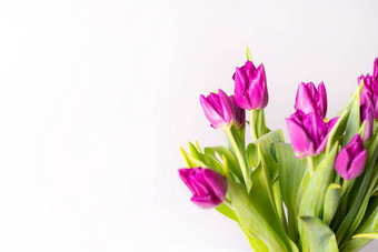 花束淡紫色郁金香花瓶花束郁金香花花瓶问候卡情人节一天3月母亲的一天复制空间