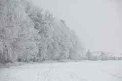 华丽的冬天景观雪雾帕尔杜比采捷克共和国