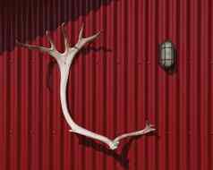 鹿角狩猎奖杯挂红色的小屋墙
