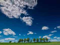 行树场视图云树场清晰的云蓝色的天空树场视图天堂