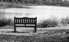 板凳上椅子孤立的公园绿色自然河黑色的白色颜色