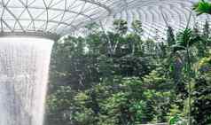巨大的水秋天汇丰银行雨涡美丽的绿色自然资生堂森林谷珠宝樟宜机场机场链接终端樟宜机场国际机场新加坡新加坡12月