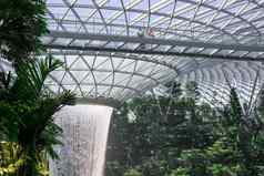 巨大的水秋天汇丰银行雨涡美丽的绿色自然资生堂森林谷珠宝樟宜机场机场链接终端樟宜机场国际机场新加坡新加坡12月