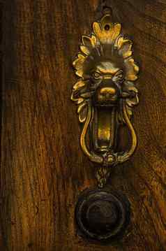通过黄铜吹毛求疵的人形状狮子的头美丽的入口房子