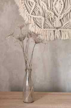 花束里德植物背景灰色的混凝土墙流苏花边