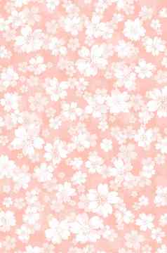 花柔和的颜色背景插图樱桃花朵