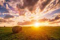 日落场干草堆夏天早期秋天晚上多云的天空背景采购动物饲料农业