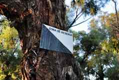 受保护的自然储备区域标志损坏的树皮纹理