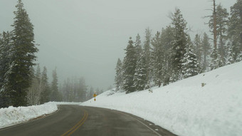 雪雾寒冷的森林开车汽车路旅行冬天犹他州美国松柏科的松树神秘视图车挡风玻璃有雾的布莱斯峡谷林地平静大气乳白色的<strong>阴霾</strong>木