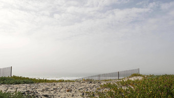 木哨栅栏桑迪有雾的海滩加州美国太平洋海洋海岸雾阴霾海海岸