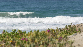 大蓝色的潮波海滩加州海岸线美国太平洋海洋海岸绿色植物海海岸