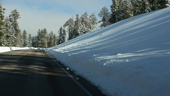 雪寒冷的森林开车汽车路旅行冬天犹他州美国松柏科的松树视图车挡风玻璃圣诞节假期12月旅程布莱斯峡谷生态旅游森林