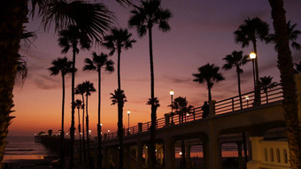 手掌《暮光之城》天空加州美国热带海洋海滩日落大气这些洛杉矶共鸣