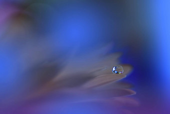美丽的自然背景花艺术设计摘要宏摄影白色黛西花柔和的花蓝色的背景
