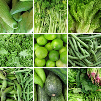 集团绿色蔬菜