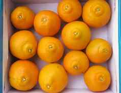 新鲜的橙色集团