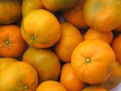 新鲜的橘子水果集合