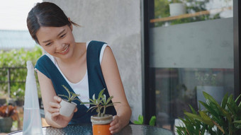 年轻的女人持有能小树花手微笑笑采取护理