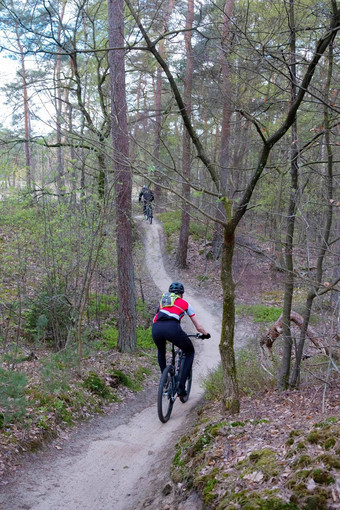 男人。山自行车春天森林utrecht荷兰