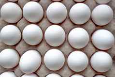 关闭前视图包纸板蛋持有人蛋托盘鸡蛋