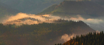 有雾的山雾森林山喀尔巴阡山脉的山