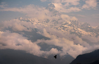 machapuchare鱼尾神圣的峰会喜马拉雅山脉