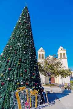 三萨尔瓦多大教堂圣诞节树广场巴里奥斯