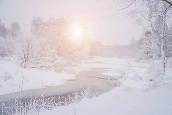 冬天雪景观河俄罗斯冬天冬天景观河太阳雪温柔的景观照片印刷产品