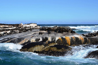 集团海狮子岩石潜水员岛