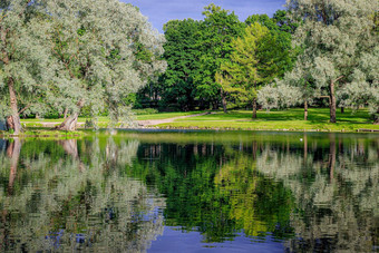 镜子图像树湖夏天公园景观城市公园镜子图像光滑的表面湖景观夏天