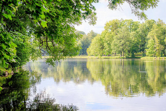 镜子图像树湖夏天公园景观城市公园镜子图像光滑的表面湖景观夏天