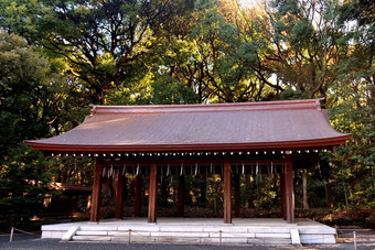 特写镜头木结构内部神道教神社明治神宫