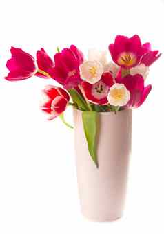 美丽的郁金香叶子玻璃花瓶孤立的透明的背景水平照片新鲜的春天花节日设计