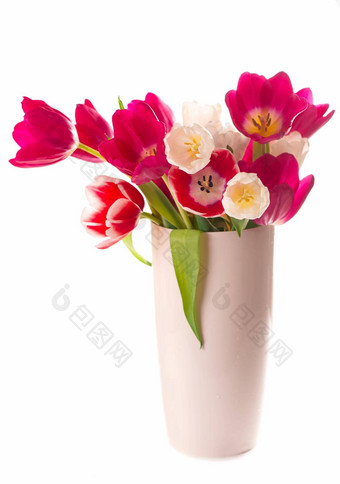 美丽的郁金香叶子<strong>玻璃</strong>花瓶孤立的透明的背景水平<strong>照片</strong>新鲜的春天花节日设计