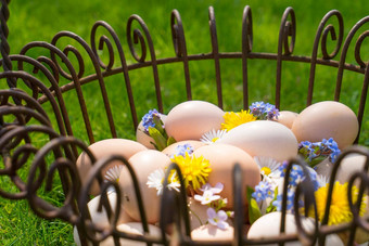 篮子鸡蛋草找到复活节早....