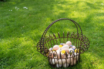 篮子鸡蛋草找到复活节早....