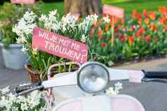 粉红色的标志篮子水仙花踏板车将结婚荷兰“想与结婚