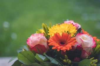 周年纪念日母亲的一天概念关闭色彩斑斓的新鲜的春天花花束非洲菊粉红色的玫瑰