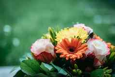 周年纪念日母亲的一天概念关闭色彩斑斓的新鲜的春天花花束非洲菊粉红色的玫瑰