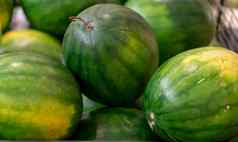 新鲜的西瓜出售农民市场大甜蜜的绿色西瓜
