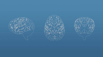 大脑蓝图网模型蓝色的背景前面视图拼字正确的的角度来看免费的风格渲染呈现