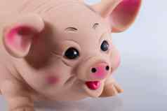 橡胶玩具猪特写镜头猪动物的鼻口