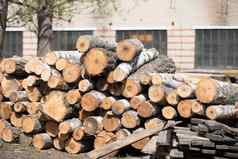 日志木处理植物木工行业