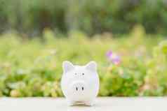 小猪银行模糊绿色自然背景储蓄钱投资概念