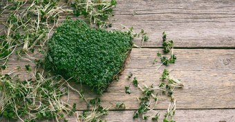 绿色豆芽传讲芝麻菜芥末表格灰色的木董事会前视图健康的食物补充
