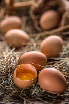 新鲜的农场鸡蛋