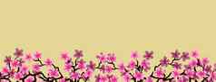 花问候横幅美丽的粉红色的开花花分支樱花黄色的颜色背景