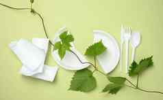 破碎的白色塑料板叉刀分支绿色叶子绿色背景概念避免塑料保存环境