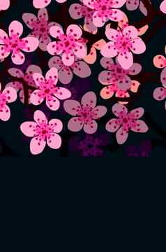 现代业务卡设计模板粉红色的樱花樱桃开花花装饰黑色的背景